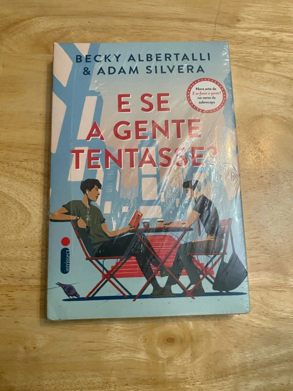 E Se A Gente Tentasse? Becky Albertalli & Adam Silvera Paperback Book
